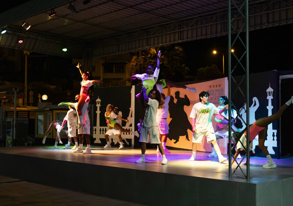 palminhotelanimasyon1